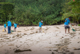 Cleaning_Services_Seychelles_feat_2